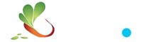 Servicii DDD